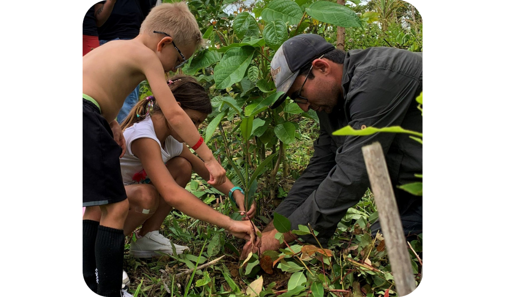 Impacto socioambiental: pense global, aja local