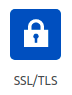 Ícone no menu para acessar a opção SSL/TLS