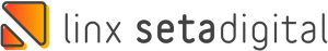log-seta-digital