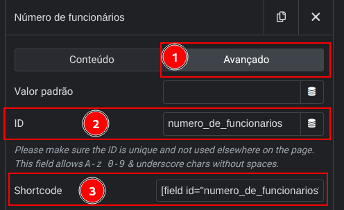 Aba avançado com os 3 campos a serem interagidos.