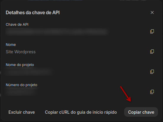 Botão "Copiar chave" - Google AI Studio