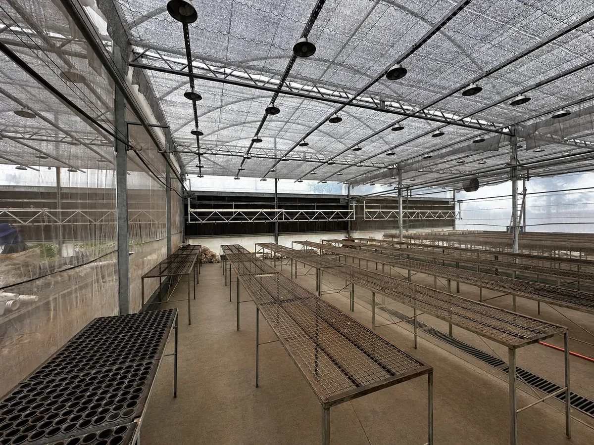Estufa de pesquisa com bancadas e barra suspensa de irrigação automatizada