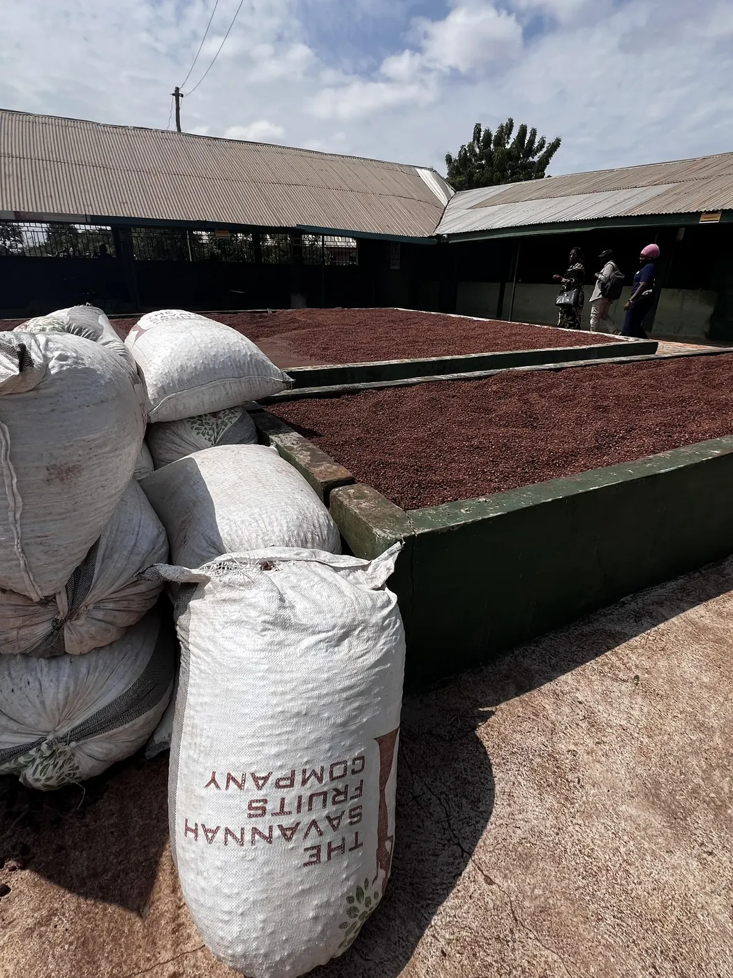 Sacos de matéria-prima e área de processamento de karité em Gana