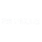 ze pneus