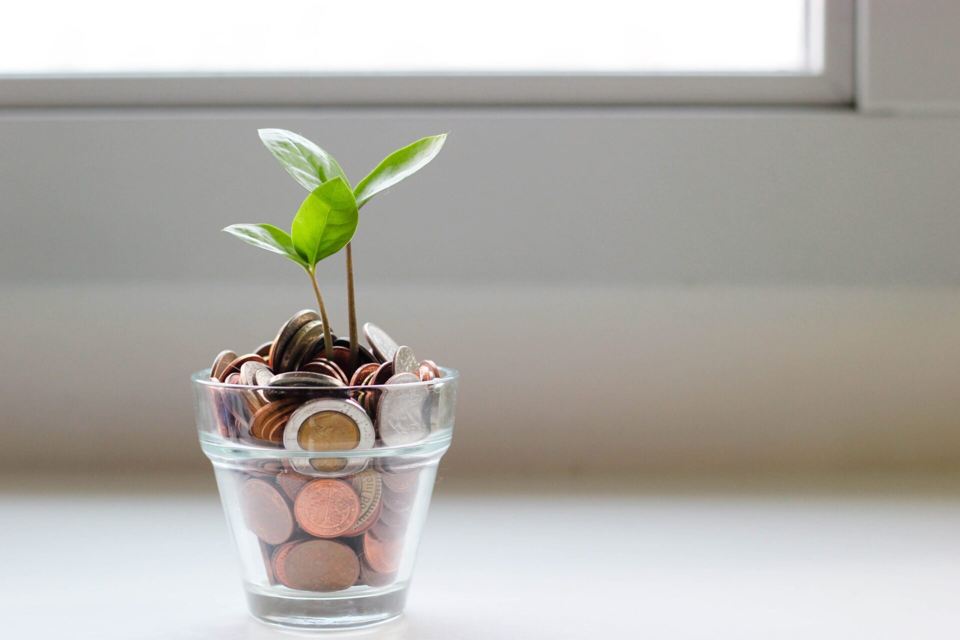 Crowdfunding para Instituições - O tal do financiamento coletivo