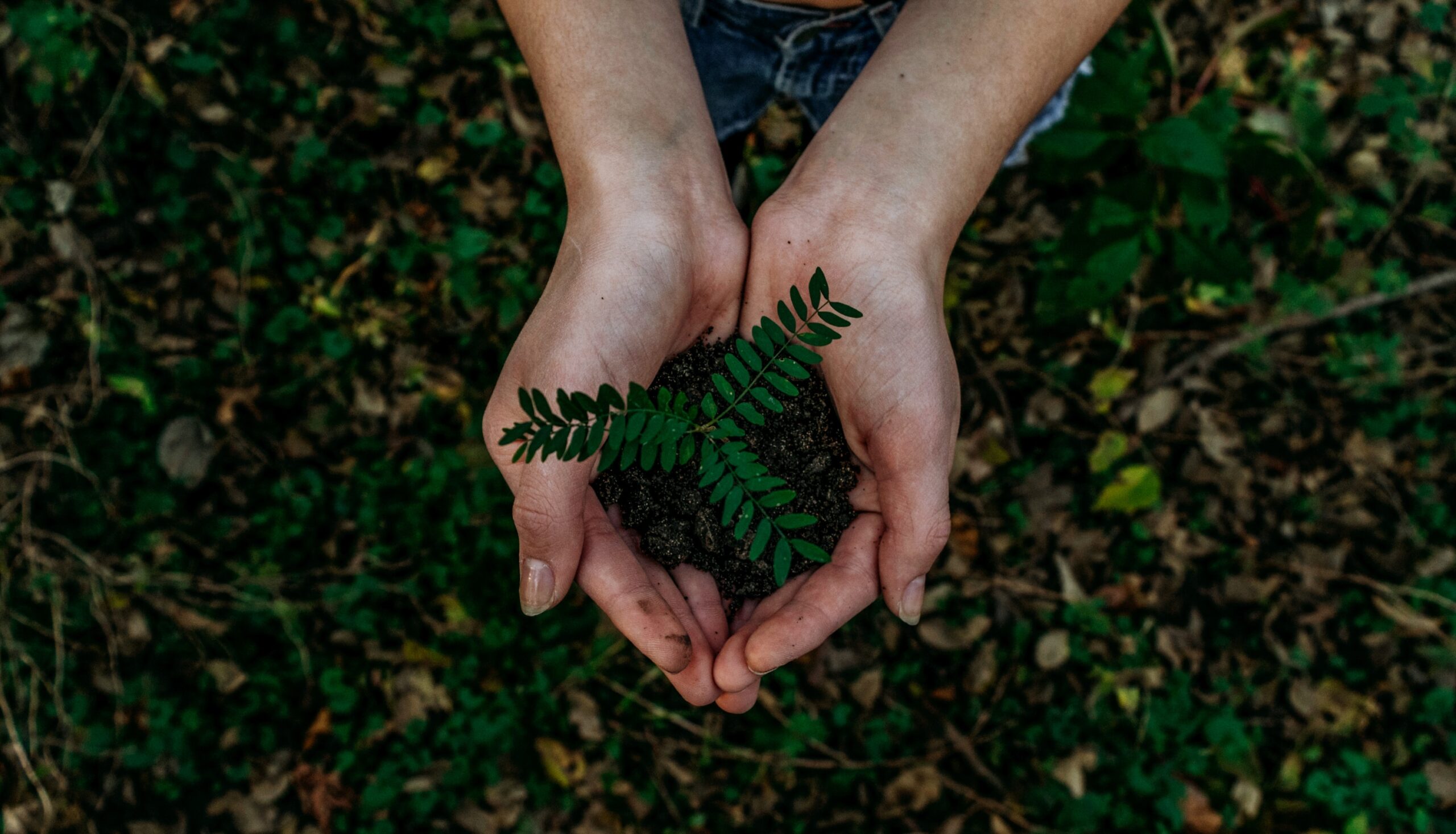 ESG para Entidades: Como Abraçar a Responsabilidade Social e Ambiental