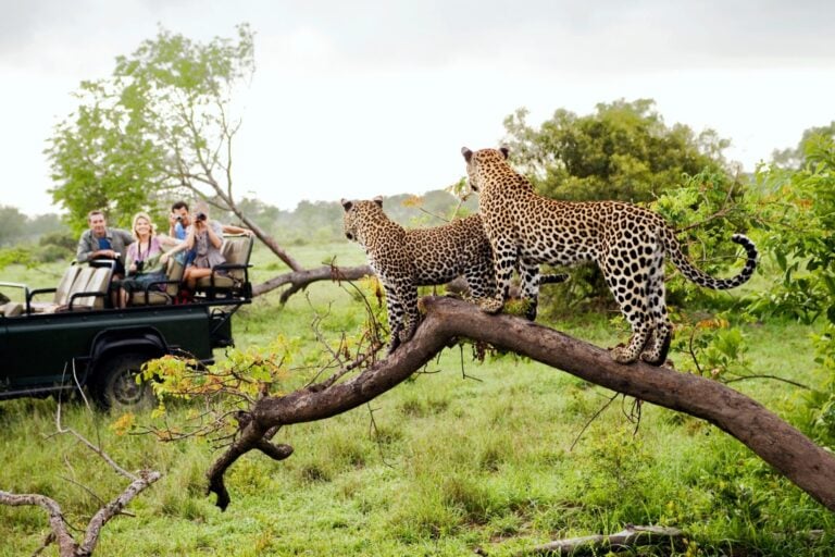 00-CAPA-AFRICA-DO-SUL-25OUT2025-AdobeStock_316699974-scaled