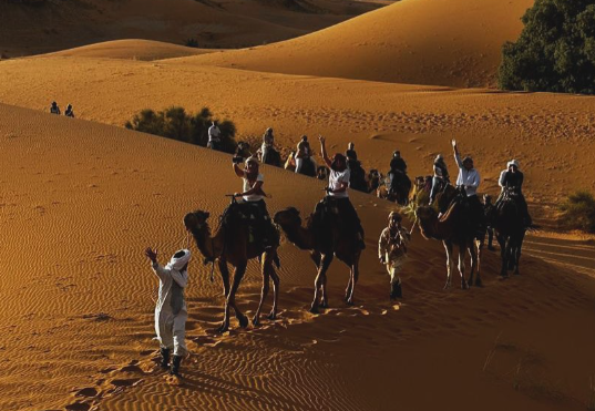 viagem mala e cuia 7