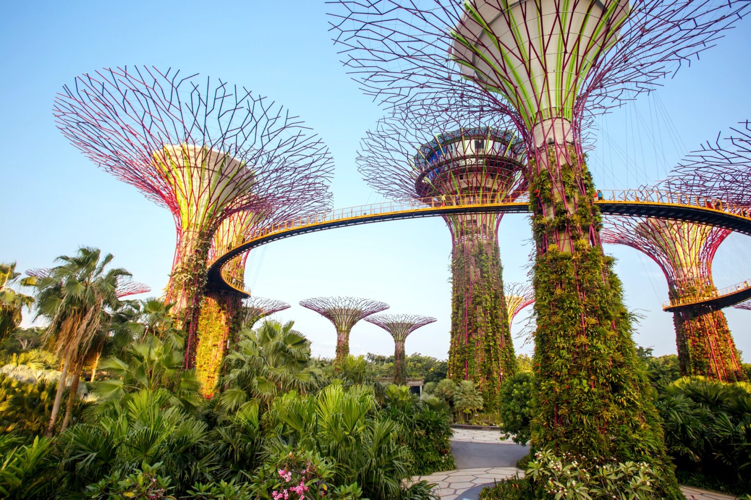 Marina Bay, Singapore - 23rd June 2015: Early evening view of the Supertrees Grove, and Cloud Forest Flower Dome at Gardens by the Bay SSUCv3H4sIAAAAAAAACpxUTW/cIBC9V+p/sDjHEt+Y/Ireox6wwbsotrFs3KqK9r8XY+PFySaVeoM3M2/mDTO8ff9WFKBWs23Ac/G23sLddt0y+0l564YAw6cdn8ygzZQjRlvvJqu6AKIE1so310H1JoDD0nUrfItGMHvll9nMWTKEydSGO0nhejKqn72N8QeqtKvN7F3zevI1o5utH6/Ouzk3jG7Q7BTfqf5PDjRBoutbP5K19qzGRnlzCaJOVaYWvWz3Ihk2KuWDCYCnDJuXOmIJ2sj/K3I7/DyUXMzQrFIOokPcUV3xjrNVuBYNYiVkUpZU6LqsKyxK2lDKW4JbKcyRMGVaZdtL7Hls8FcJfhg3dg8pTs/5afzpwsSdaDvcsveZTGfUNkMvWx7w+tubqY/vtTupRVuXvd8v16guTkjGNE62scMlC3P+Ggc8hTVuGfy0thYgkmoEnXOjqoPc56INrCbhVzXPIUAnPB+qOG1ZpsH5KGFXDnSYui0NprgSiNEKCiqhxCBfnasNPLGgVOIydk5po08DkZYKMVkRHijZJw+yOVBBMofTqiUHJjKGd1uXfDi++6QFPGz06cO4HraM+7yWu0Ml9jFInQ470lvvv1RNUV7PA1FMEPhZwUxQ/i/B7FT4WRQTknzZci4Q/jjbsUCrH/2PoLVd+G77sP4YwgpCiuAxkSd1gAgS2CFEhz2JC+NVQSwl4YfpvTZAA7MkCFd39l0a0BwxLrksFdOqpJLzsiJN+EYgRpBXhDKi7sS5aIAkpZIKWcXV3uXa9f0ANxWuec1KLHhdUoV0KQ1lpTYQc8pFELt+CLe/AAAA//8DAIMalDKtBgAA