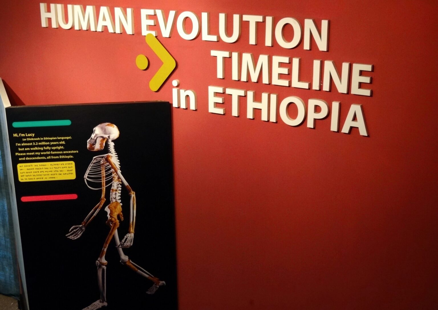 03 - MUSEU LUCY - ADDIS ABEBA - 1I3hqARF8m