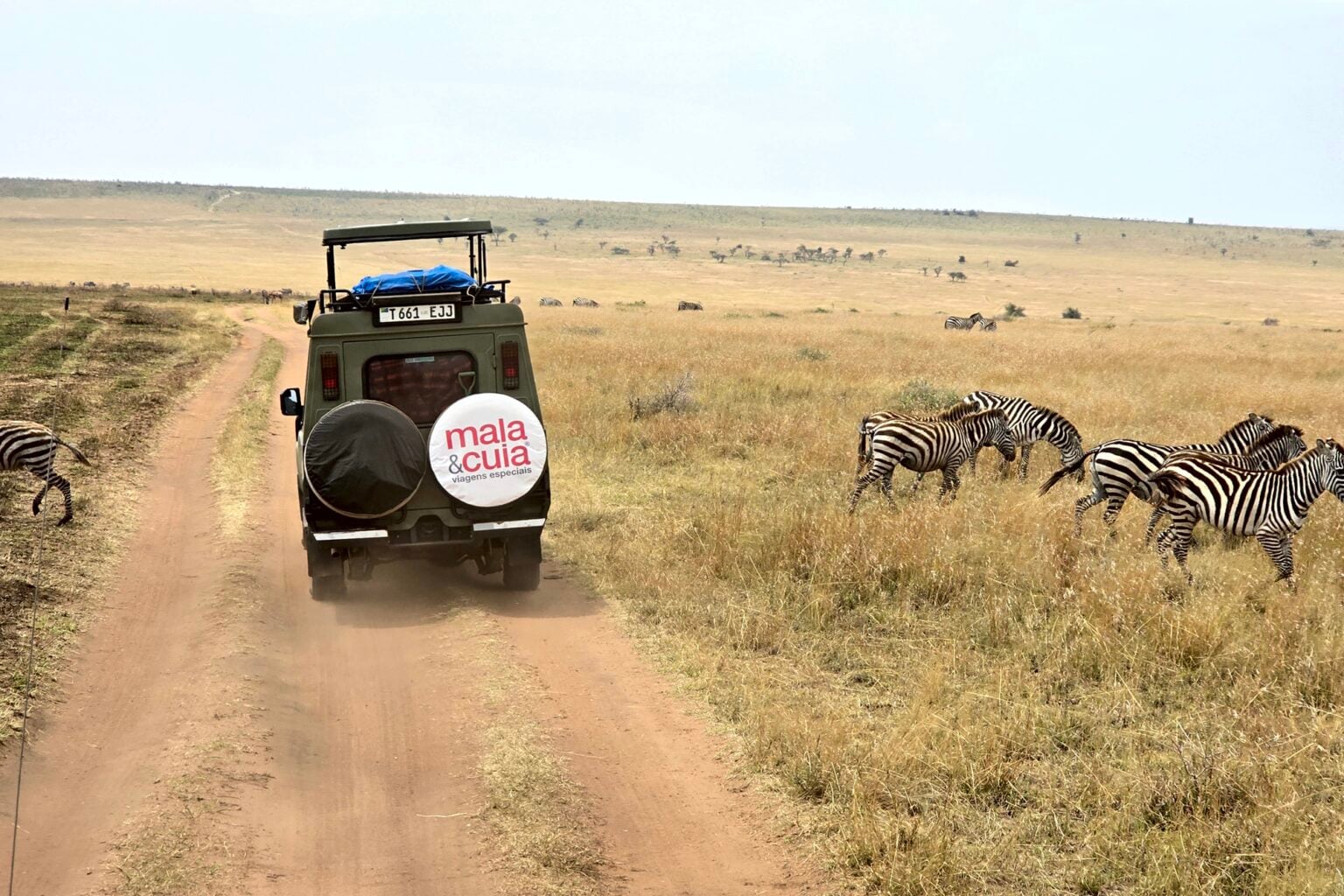 07 - SERENGETI NORTE - 20250813_122947