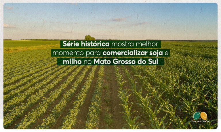 Série histórica mostra melhor momento para comercializar soja e milho no Mato Grosso do Sul