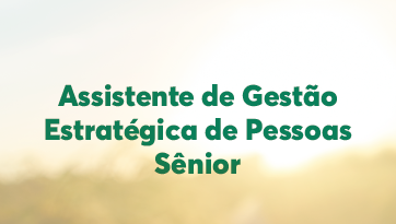 Assistente de Gestão Estratégica de Pessoas Sênior