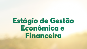 Estágio de Gestão Econômica e Financeira
