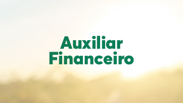 Auxiliar Financeiro