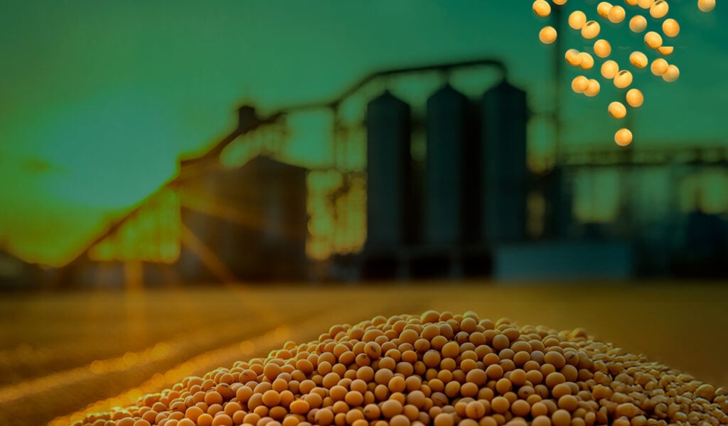 Capa Blog Operação Declara Grãos