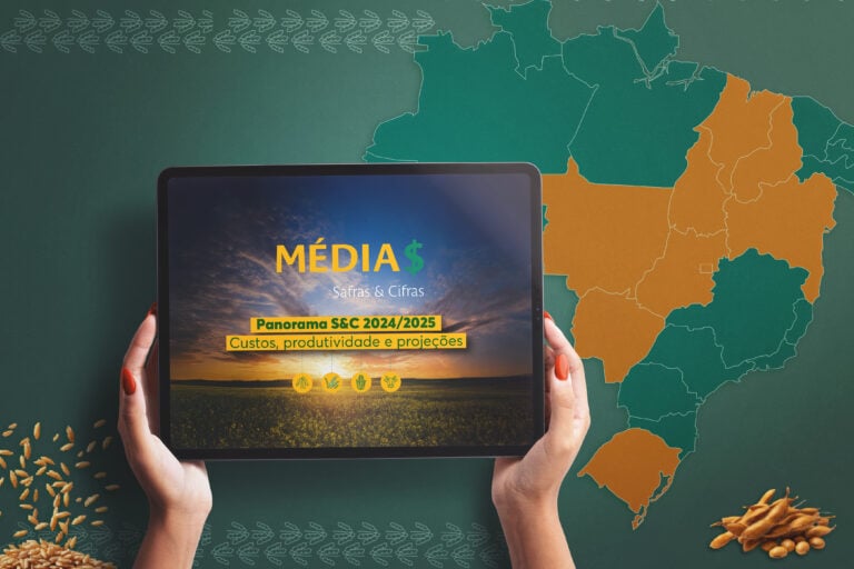 Panorama S&C 2024_2025 Médias Safras _ Cifras (Novembro) _Capa Blog