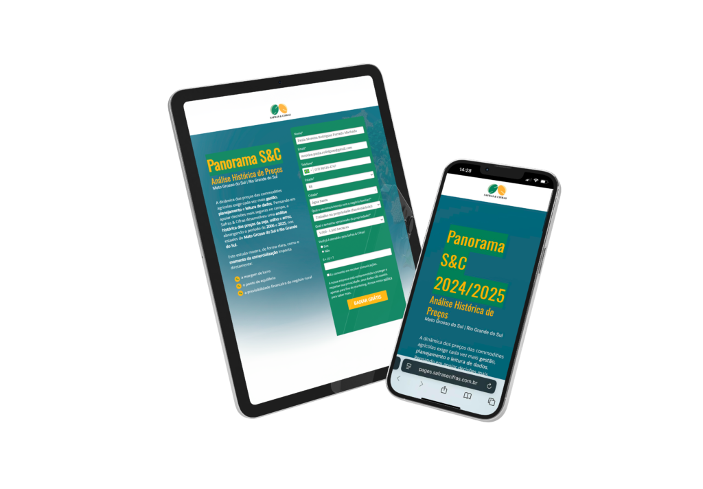 LP Panorama Safras & Cifras