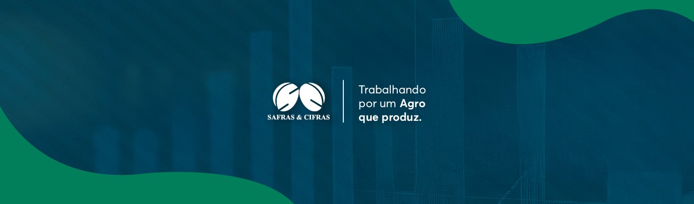 PL 5.122/2023: Senado aprova renegociação de dívidas do agro. O que muda para você?