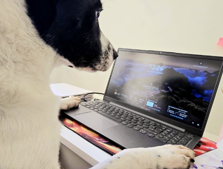 Nosso jeito de trabalhar - Pet 2 - V360